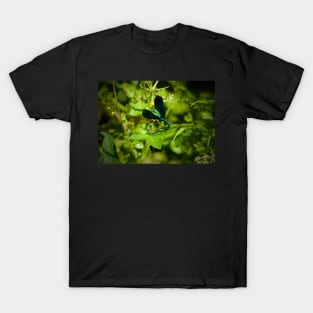 THE LOVE BUGS T-Shirt